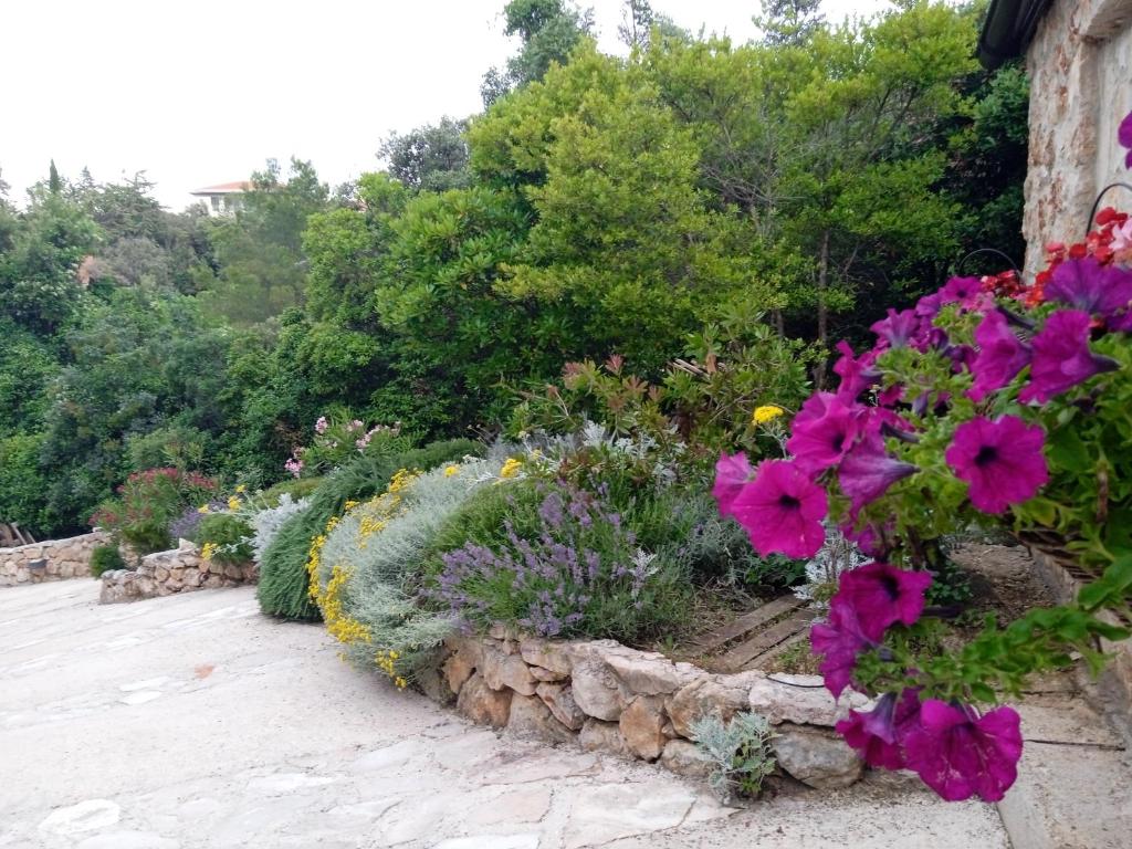 Vonkajšia záhrada v ubytovaní Lavender Hill Hvar Villa - pool, jacuzzi,sauna,BBQ