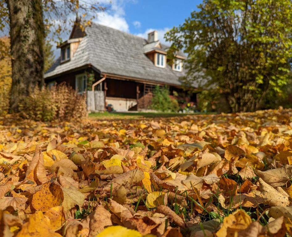 a pile of leaves in front of a house at Noclegi U Lestka in Lutowiska