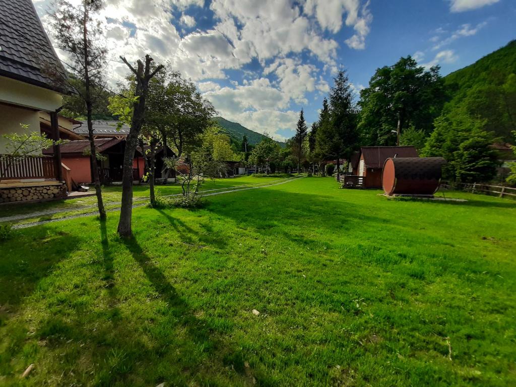 a green yard with a tree in the grass at Casa Phoenix in Băişoara