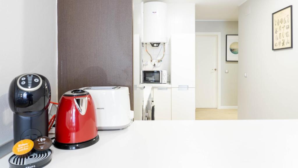 Kuchyň nebo kuchyňský kout v ubytování Luxury Apartment Dos Aceras