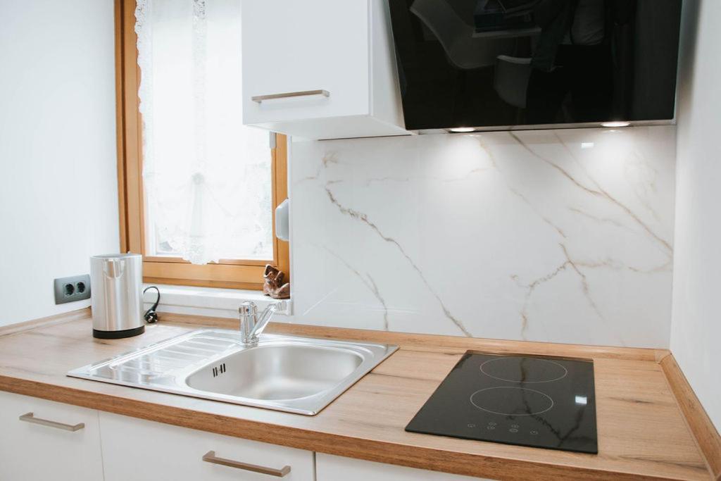 Kuchyň nebo kuchyňský kout v ubytování Apartmaji URŠIČ