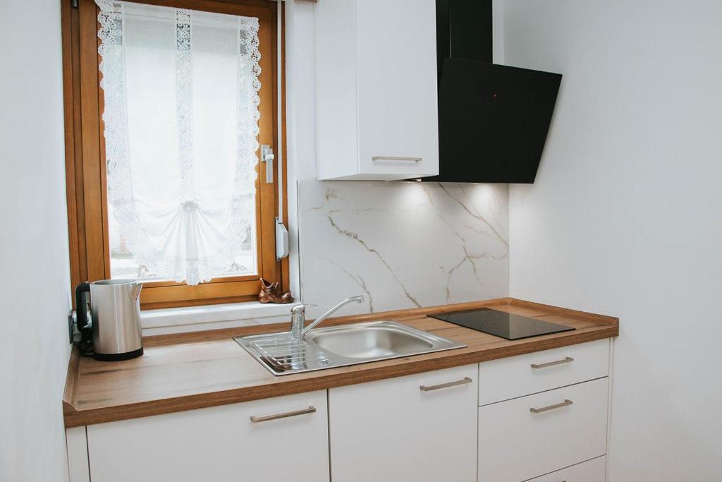 Kuchyň nebo kuchyňský kout v ubytování Apartmaji URŠIČ