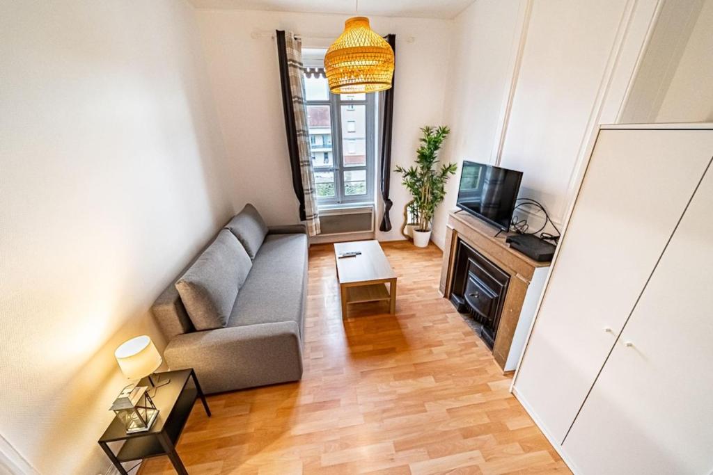 uma sala de estar com um sofá e uma televisão em Chez Florence- cosy 2 pers-métro Grange Blanche em Lyon