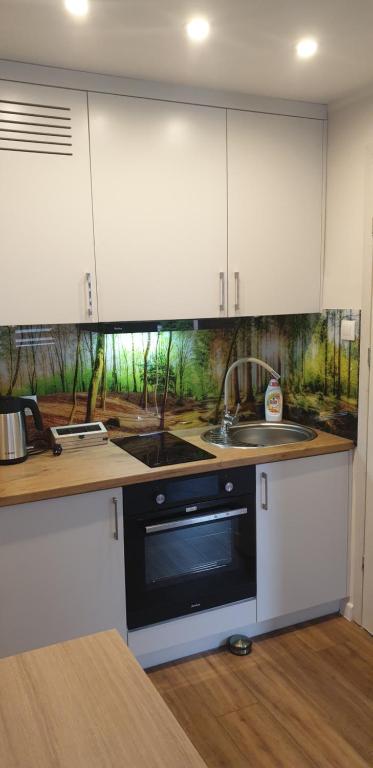 een keuken met witte kasten, een wastafel en een vaatwasser bij Apartament przy Starym Mieście in Elblag