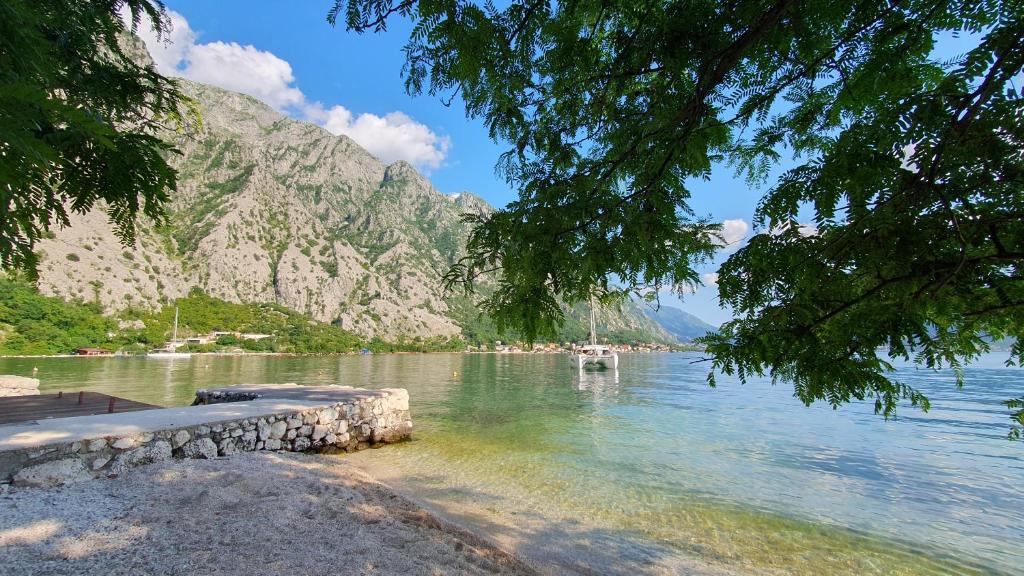 a view of a body of water with a mountain at Sea side apartment in Kotor