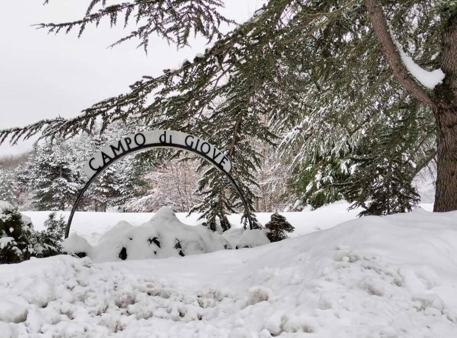 um sinal na neve ao lado de uma árvore em Nicola's house em Campo di Giove