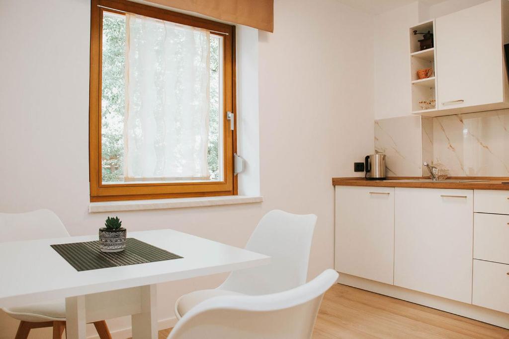 Kuchyň nebo kuchyňský kout v ubytování Apartmaji URŠIČ