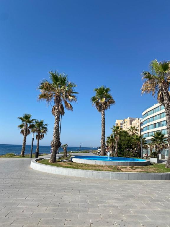 Goleta 39, Torrevieja – Updated 2023 Prices