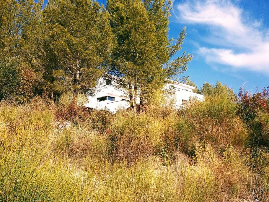 een wit huis in een veld van hoog gras bij Villa contemporaine Côte Azur Ollioules Calme in Ollioules