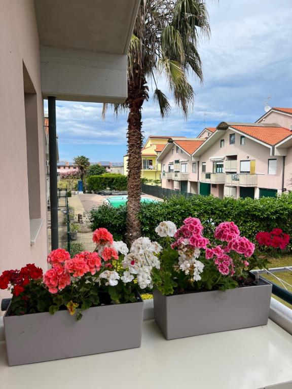 Elle comprend un balcon orné de fleurs et d'un palmier. dans l'établissement Maison Chic Montenero Marina, à Marina di Montenero