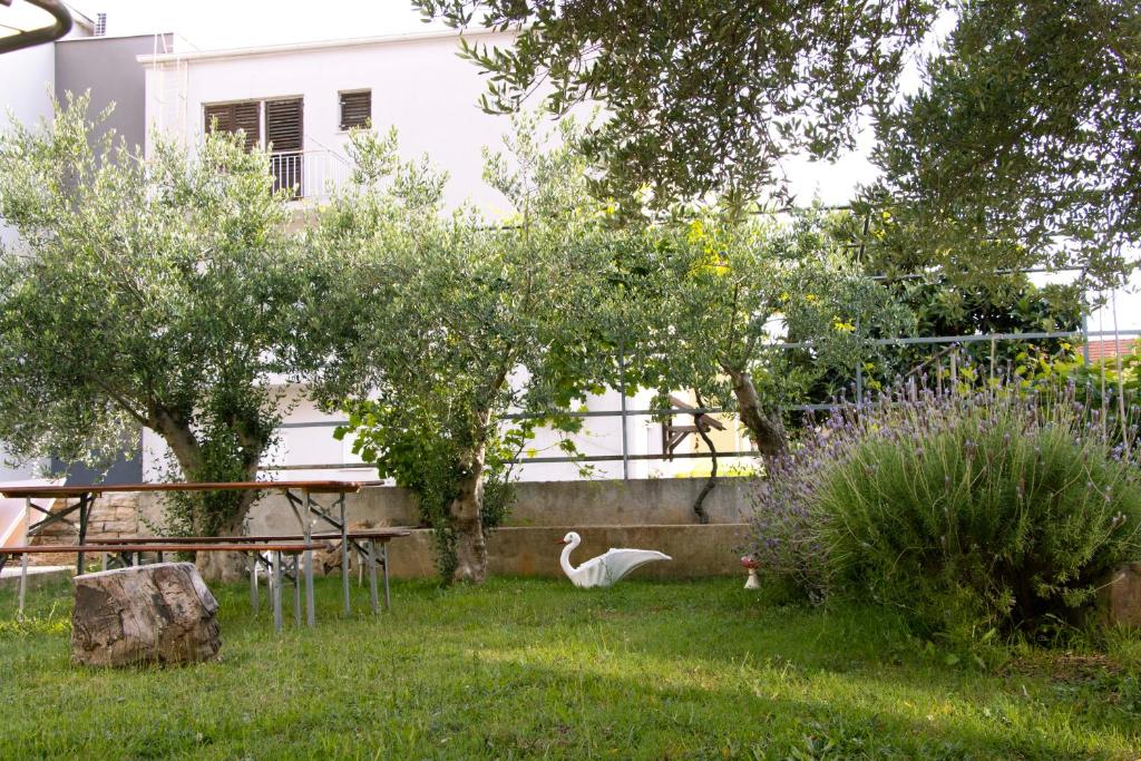 Vonkajšia záhrada v ubytovaní Pepi Apartments 1