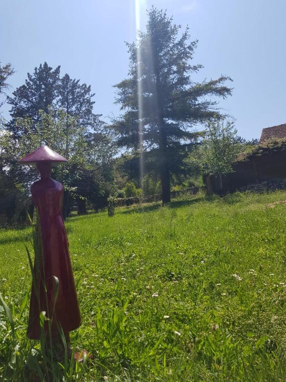 Hosté ubytování Auberge De Carlucet