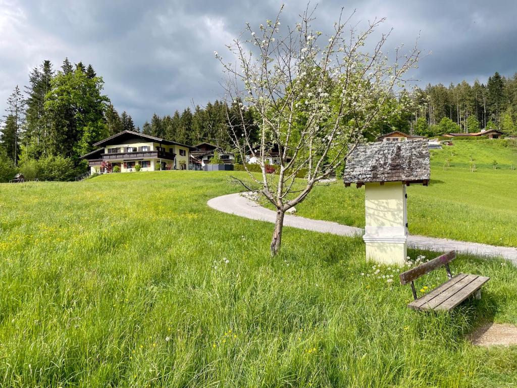 Příroda nedaleko apartmánu