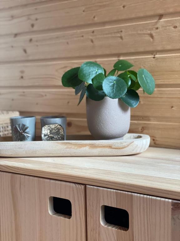 Fotografie z fotogalerie ubytování Kleines Chalet im Erzgebirge mit Sauna und Kamin v destinaci Rechenberg-Bienenmühle
