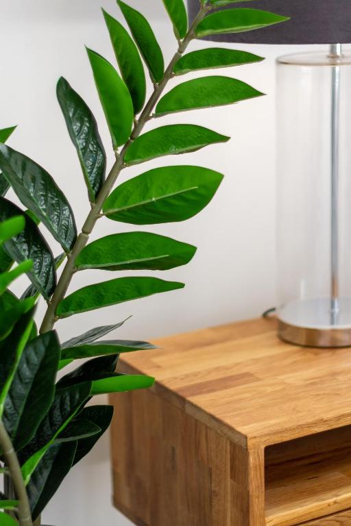 Modern 2 bed, Hagley Park, Riverside Market - Resim 30