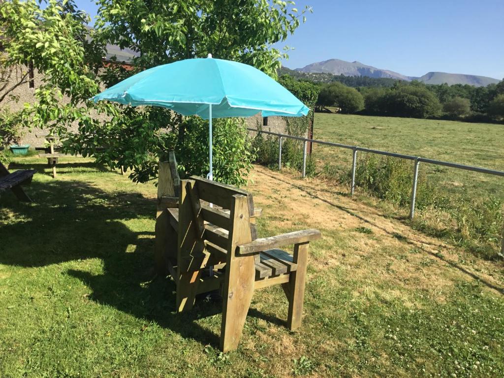 a bench with an umbrella sitting in the grass at Tyddyn Perthi Farm in Llanberis