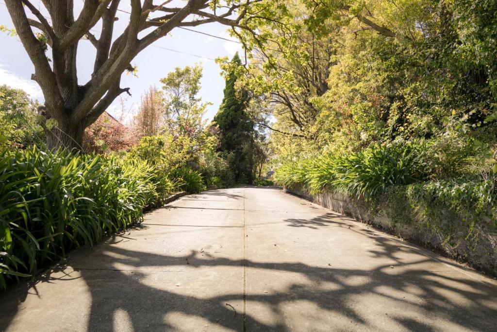 Graham Apartments - Resim 13