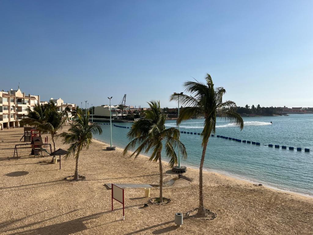 uma praia com palmeiras ao lado de um corpo de água em شاليه La veranda em Durat Alarous