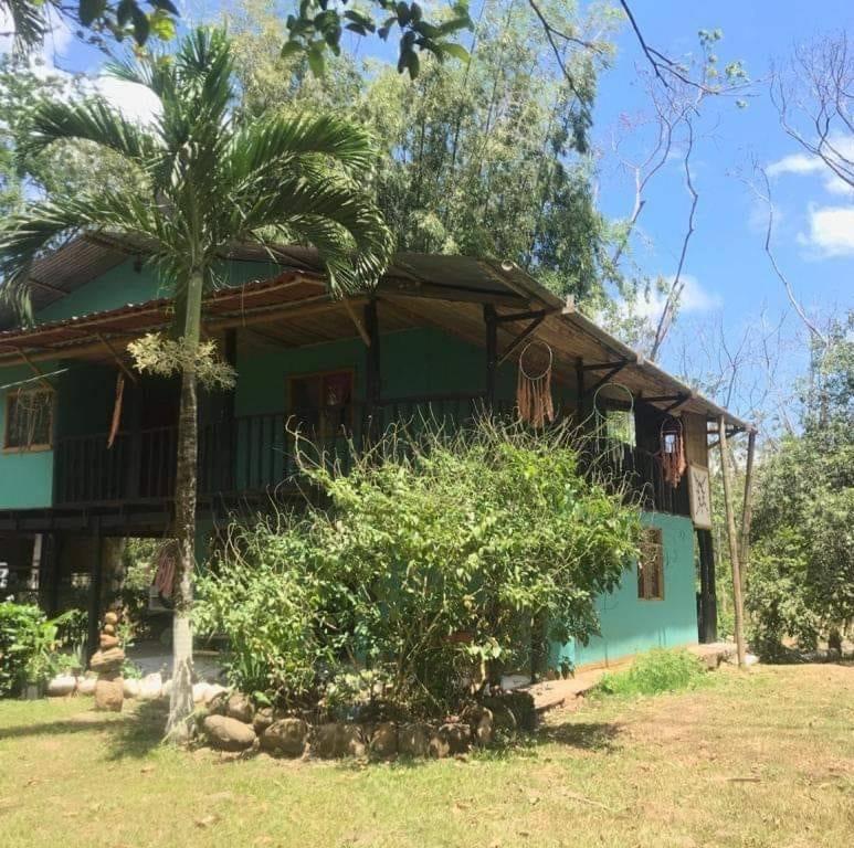 a house with a palm tree in front of it at Finca Bambú Del Valle in Santa Clara