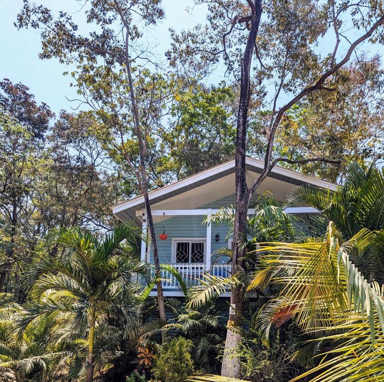 dom z palmami przed nim w obiekcie West Bay Roatan - Sunny & Modern Oasis- 2 Bedrooms - 3 min walk to beach w mieście Roatán