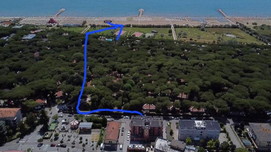 Příroda nedaleko hotelu
