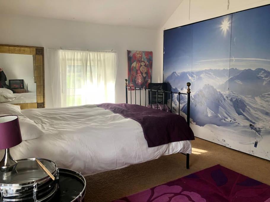 1 dormitorio con 1 cama grande y una gran pintura en la pared en One Bedroom Rural Cottage with Hot tub, en Whitegate