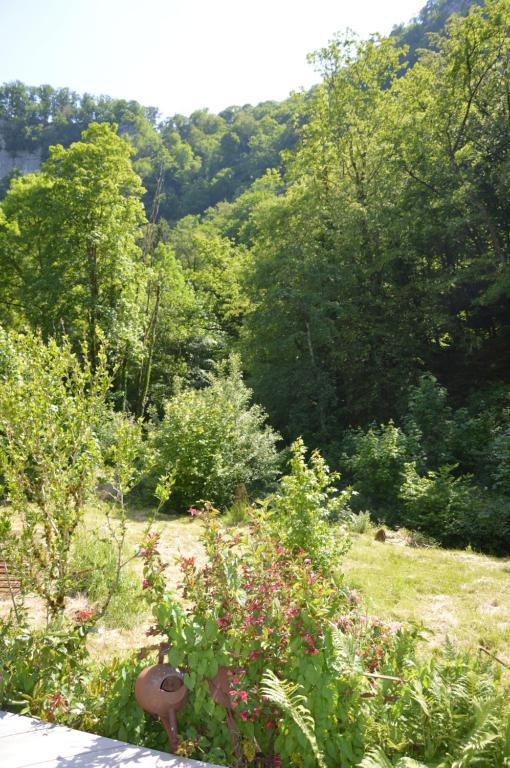 Příroda nedaleko bed and breakfast