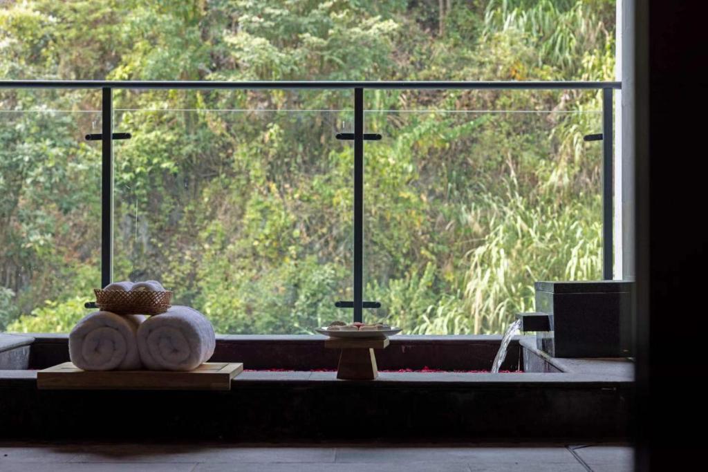 Home2 Suites by Hilton Chenzhou Nuanshui Hot Spring - Spirituele Tuin Uitzicht Twin Room