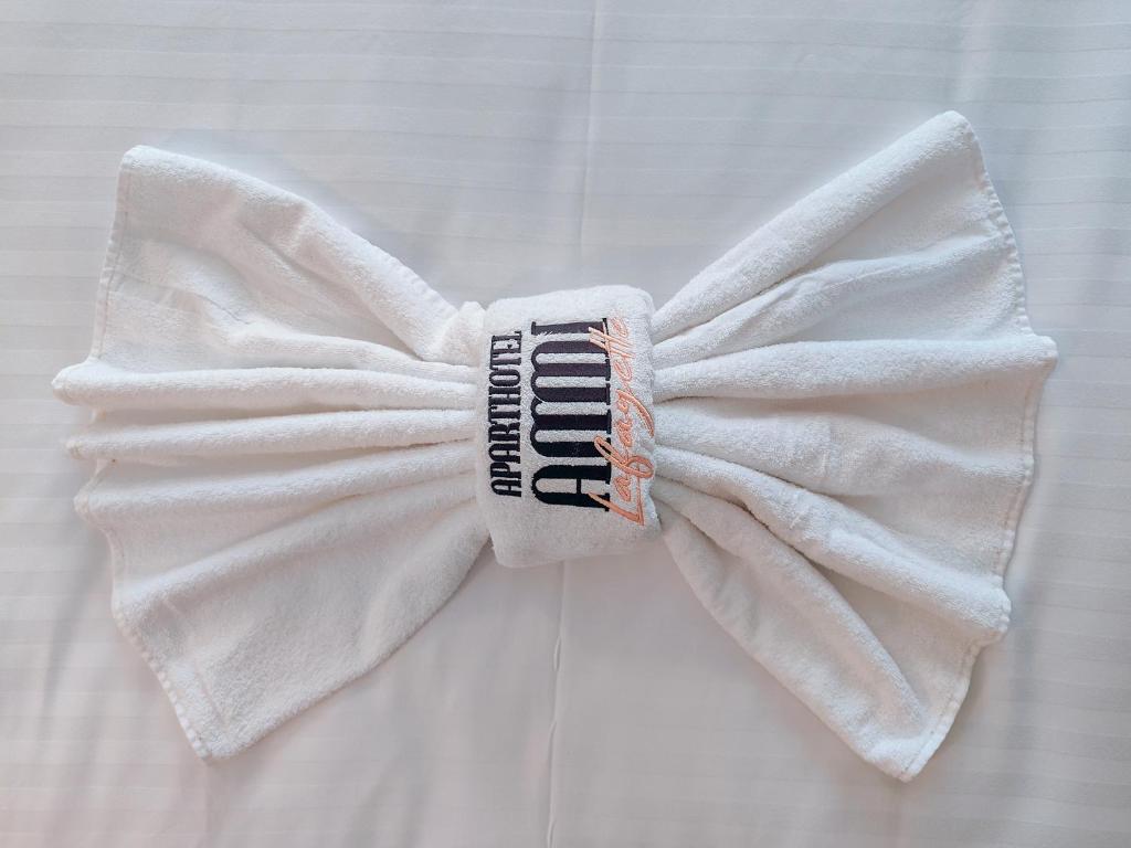 Aparthotel AMMI Nice Lafayette - Resim 32