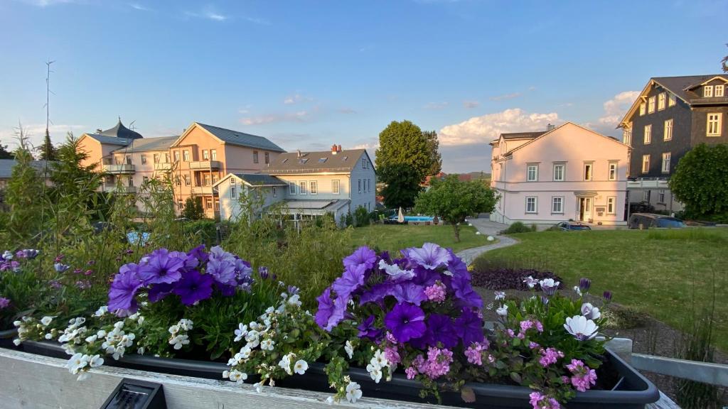 einen Garten mit lila und weißen Blumen im Hof in der Unterkunft Ferienhäuschen Gartenblick in Friedrichroda