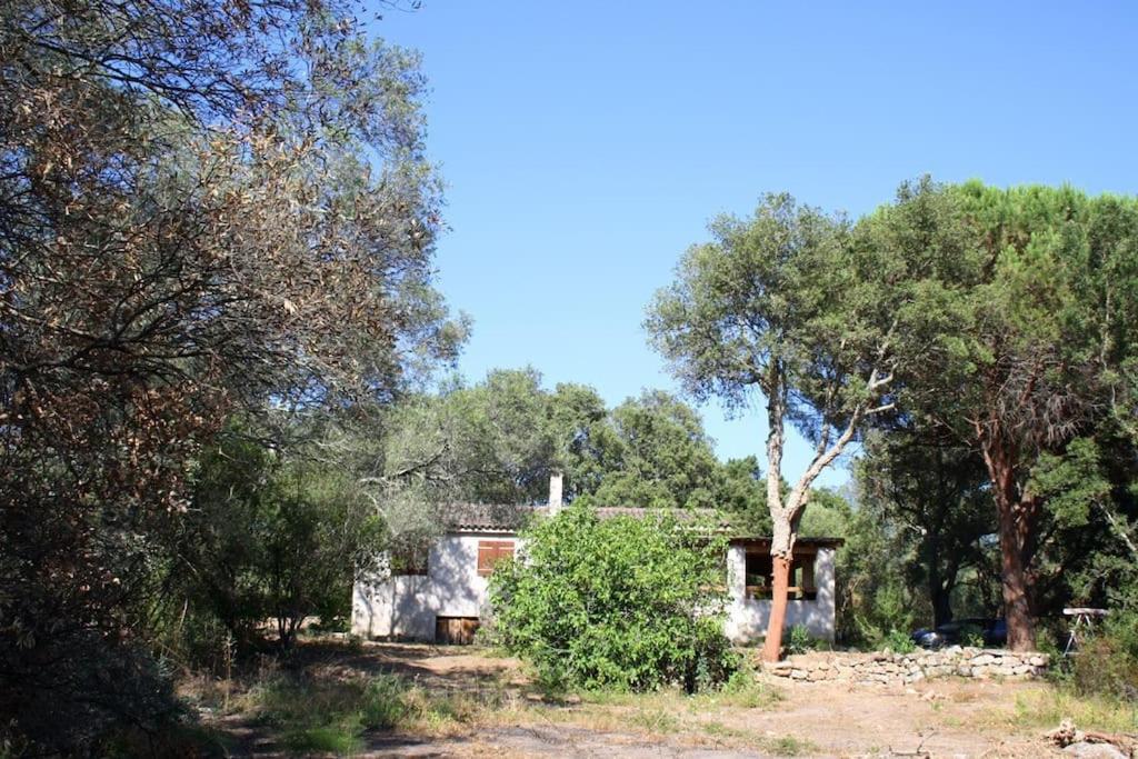 une vieille maison au milieu d'une forêt dans l'établissement QUIET COTTAGE NEAR CITY CENTER, à Porto-Vecchio