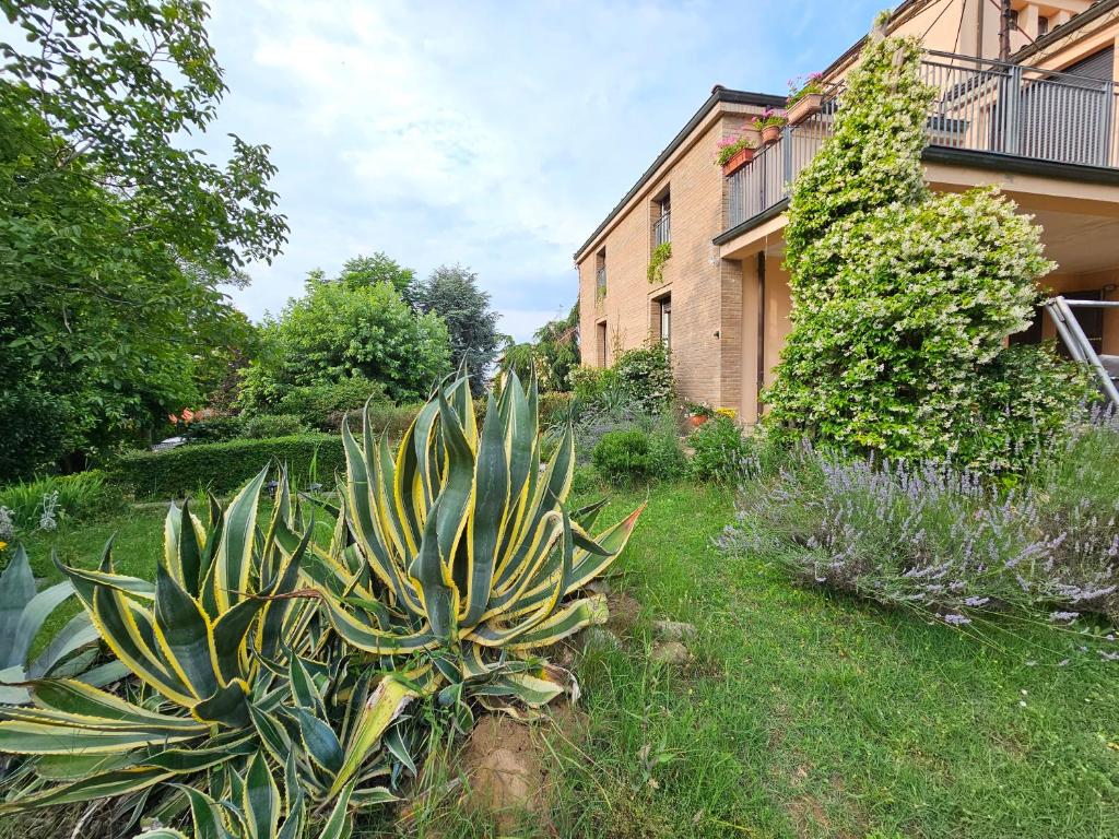 un giardino con piante di fronte a un edificio di Casa VINCENZO 130 mq con 2 Bagni ed ingresso esclusivo dal giardino a Felino