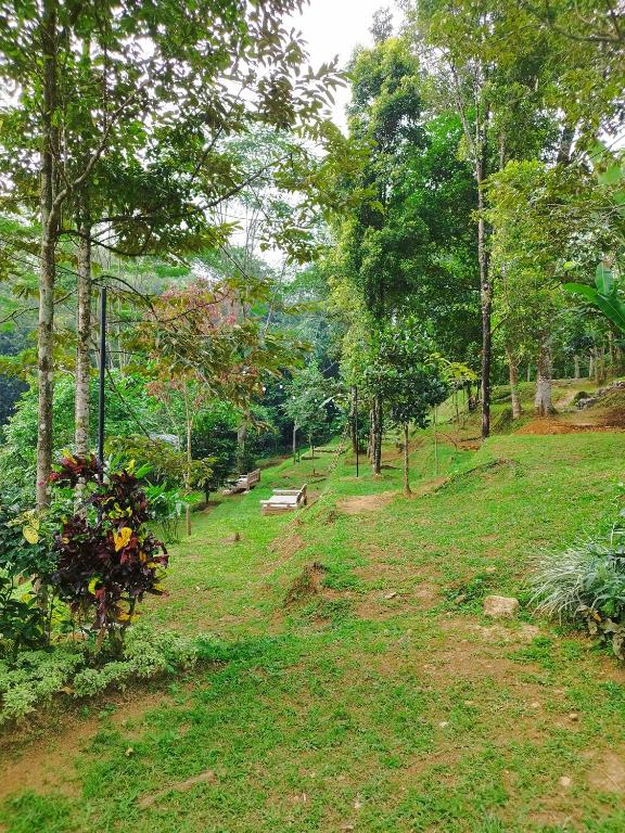 Zahrada ubytování Kebun Hanoman Villa