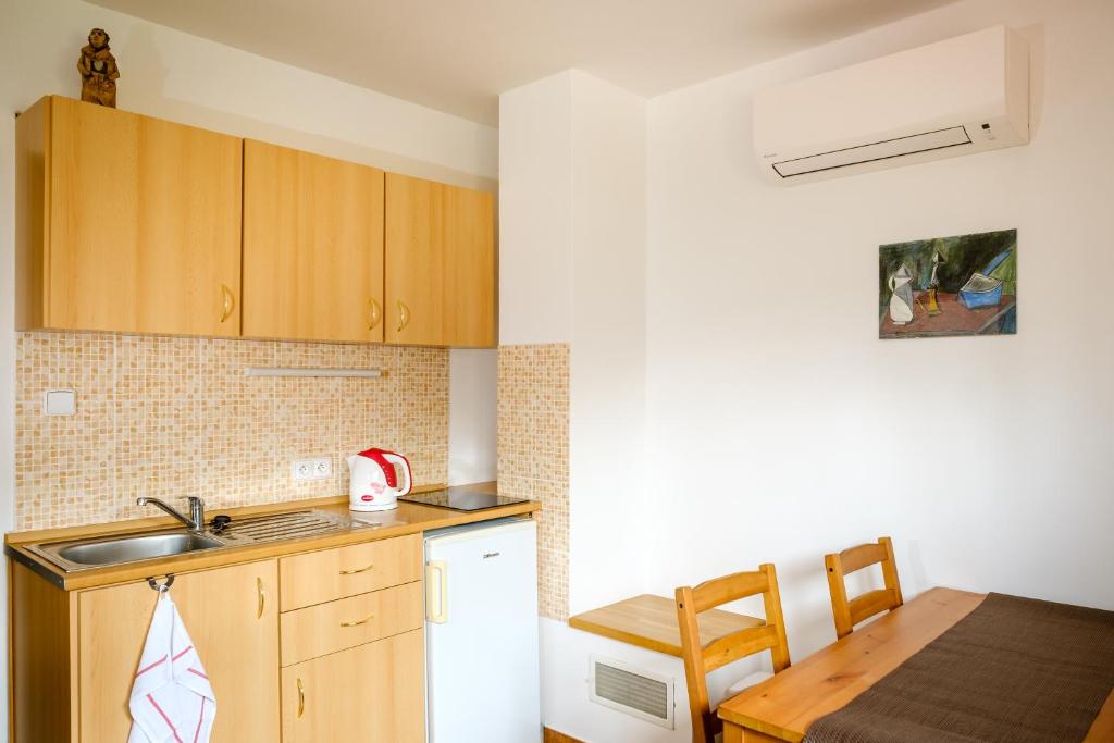 Kuchyň nebo kuchyňský kout v ubytování Pension U Blinků