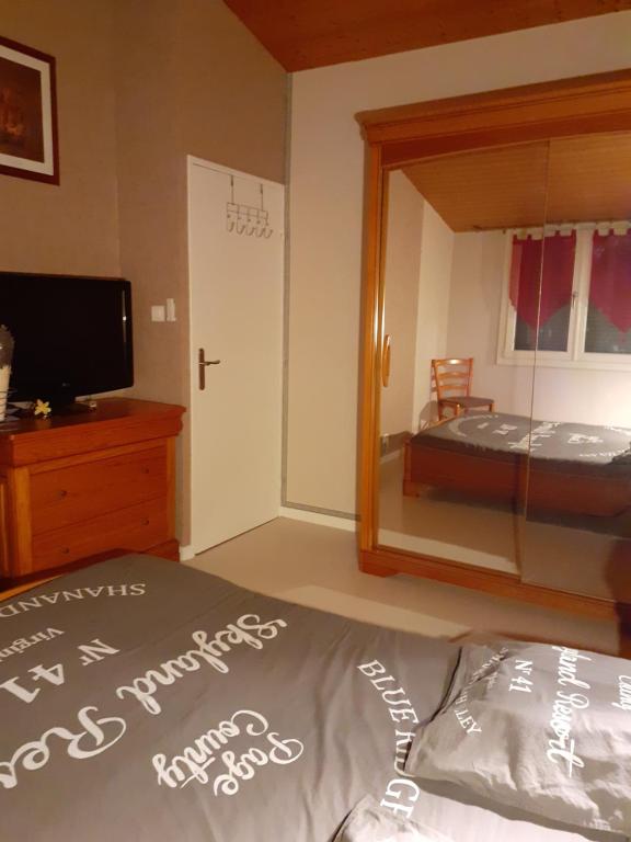 Schlafzimmer mit einem Bett, einem TV und einem Spiegel in der Unterkunft Chambre un petit air de chalet 