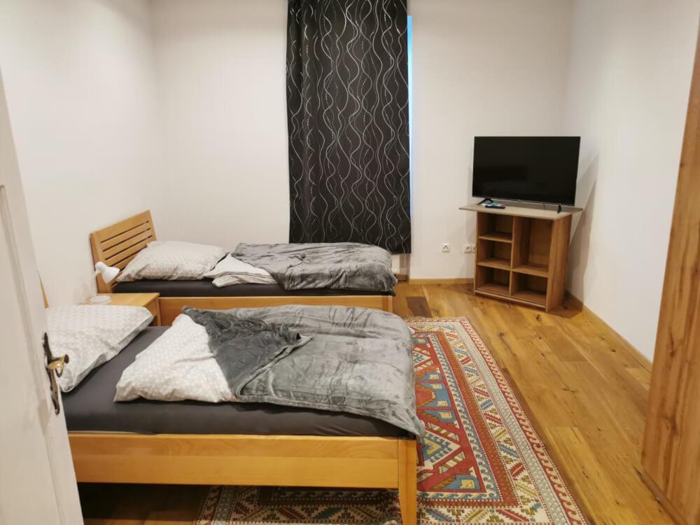 two twin beds in a room with a television at Wohnung mit Parkplatz und Garten in Donawitz