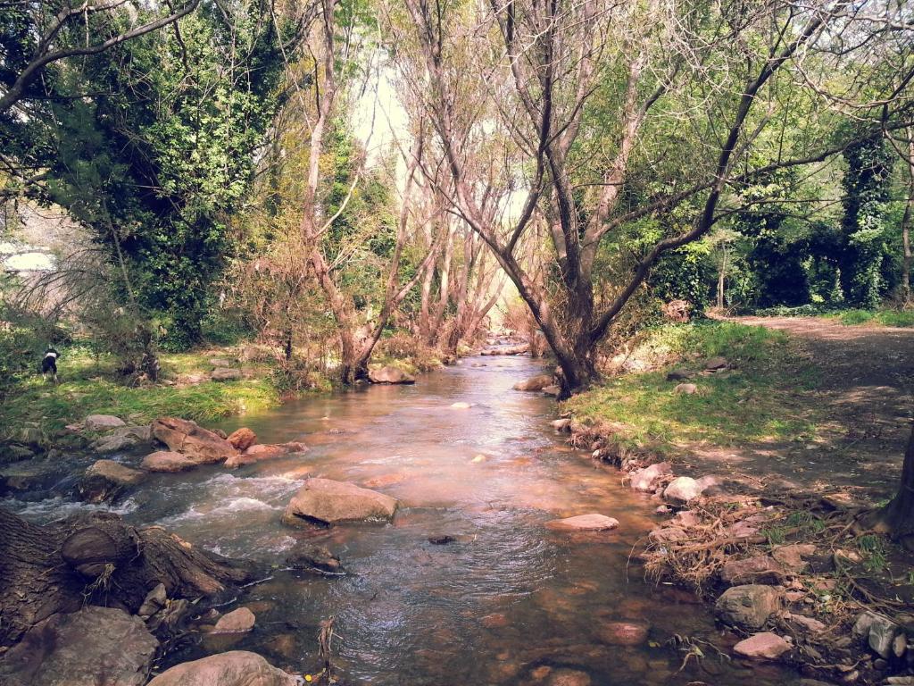 un arroyo en medio de un bosque con árboles en La Posada, en Villa Ventana