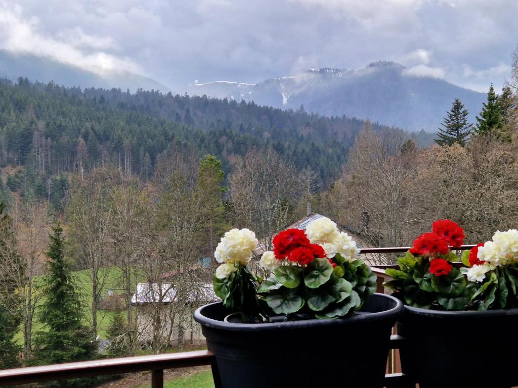 zwei Blumentöpfe mit roten und weißen Blumen auf dem Balkon in der Unterkunft Au calme du Jura in Saint-Cergue