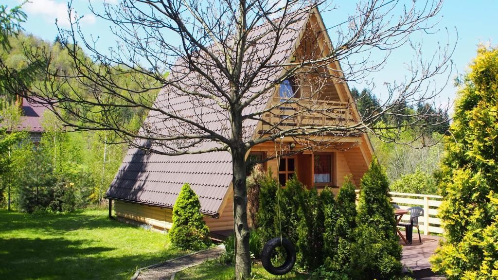 a small house with a tree in the yard at LESNA CHATA in Zagórnik