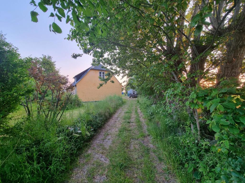 a dirt road in a field next to a building at Bjørnø Vingård B&B - bed&bath in Bjørnø By