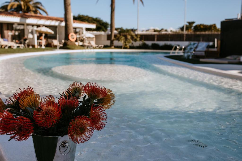 Bungalows El Palmital - Adults Only, Playa del Ingles ...