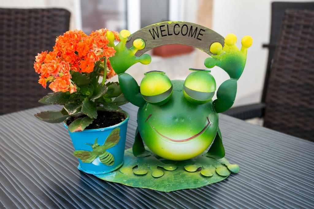 Apartments Gabrieri - 12