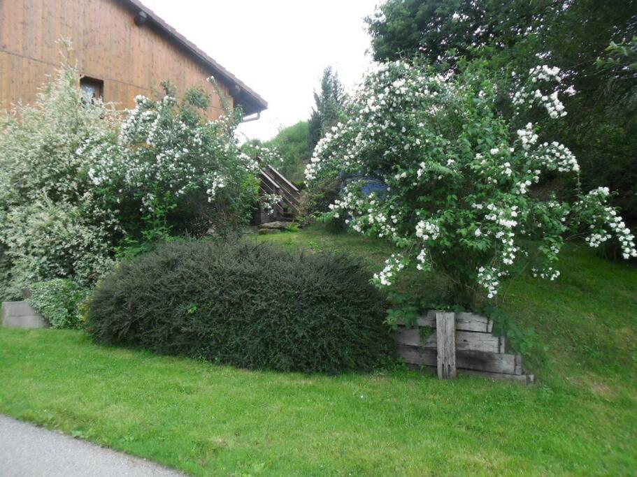 a tree with white flowers in a yard at LES GALLINACES in Docelles