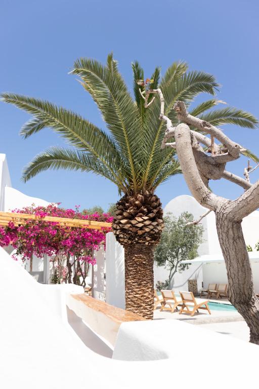 Fotografie z fotogalerie ubytování Cavo Bianco Boutique Hotel & Spa v destinaci Kamari