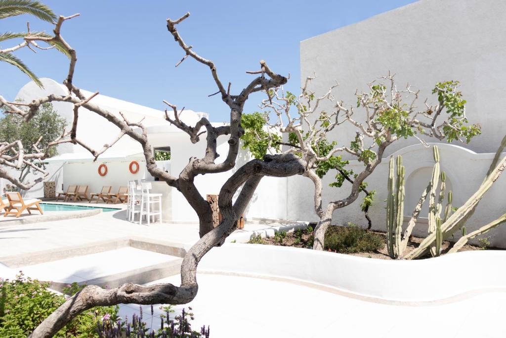 Zahrada ubytování Cavo Bianco Boutique Hotel & Spa