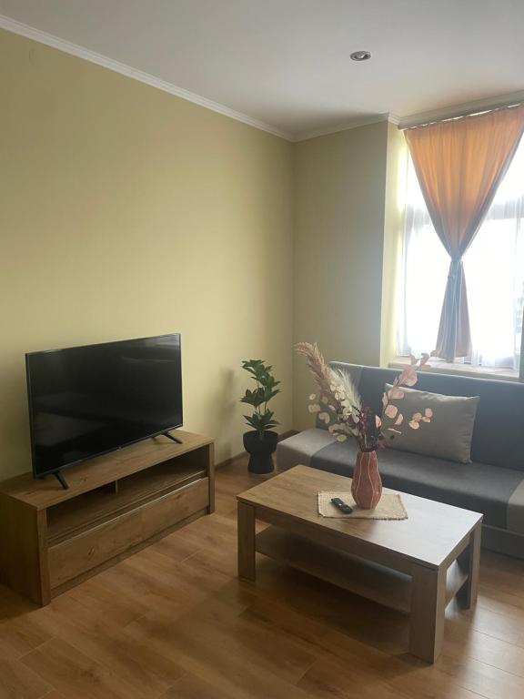 ein Wohnzimmer mit einem Sofa und einem TV in der Unterkunft Rubin Apartments in Gheorgheni