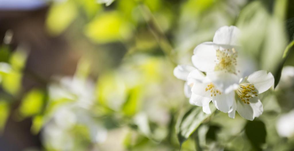 Hotel Meteoritis - Resim 37