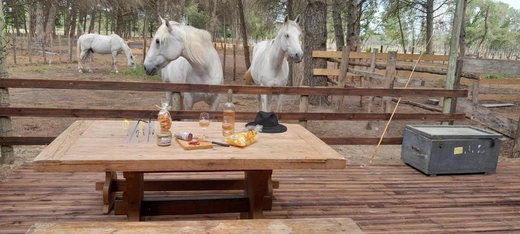 Deux chevaux blancs debout derrière une clôture en bois avec une table dans l'établissement Logement Lodge au cœur de la Manade, à Aigues-Mortes