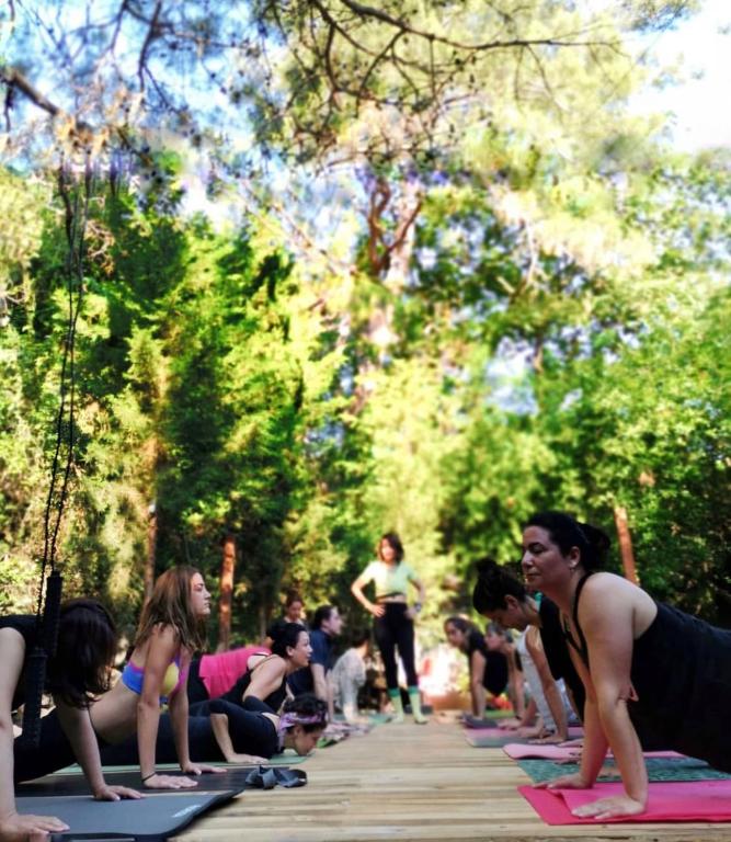 a group of people doing yoga on a wooden path at Sheriff, Olympos in Kumluca