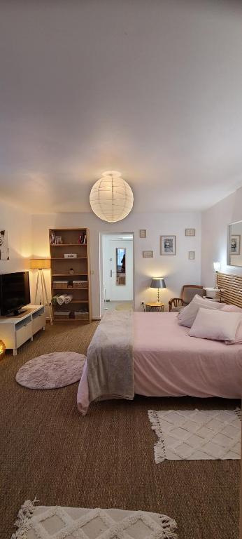 a bedroom with a large bed and a television at EMA Cottage in Montjean
